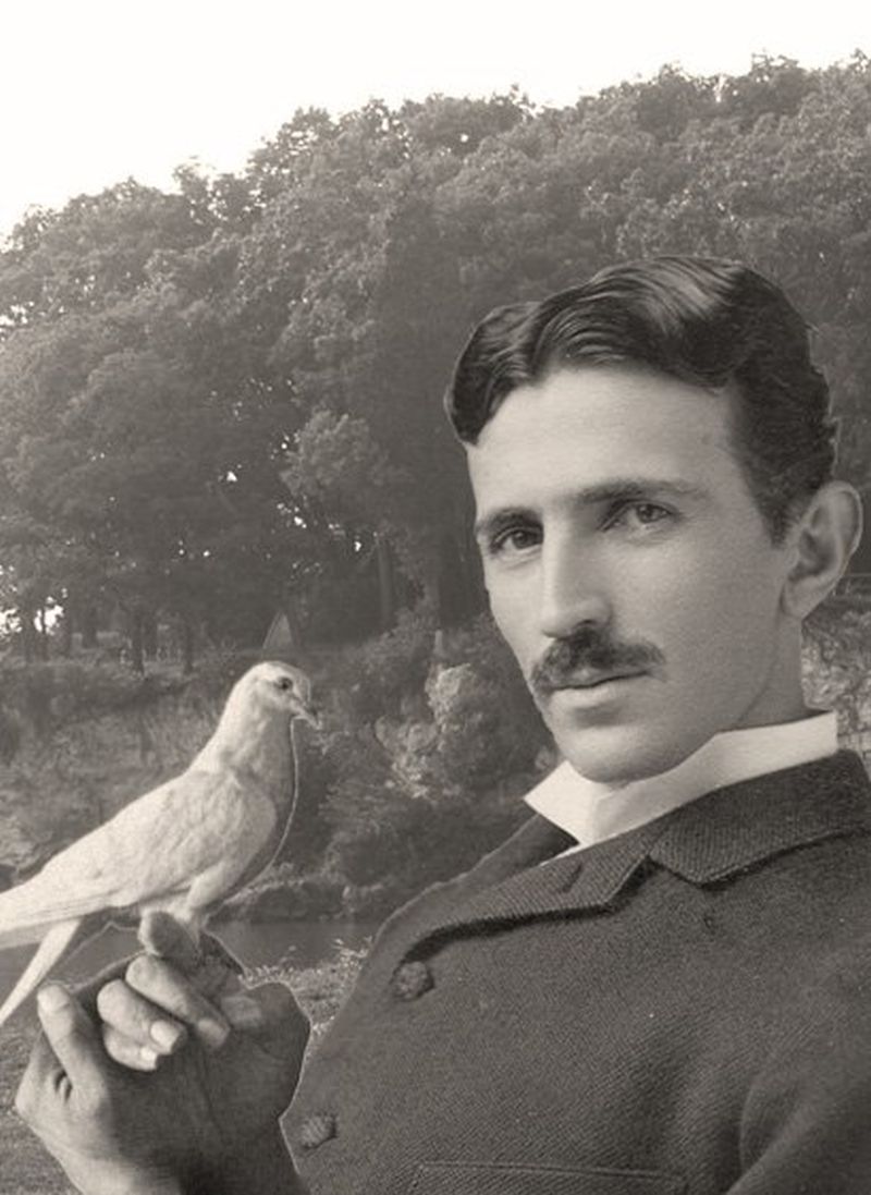 Nikola Tesla i golub